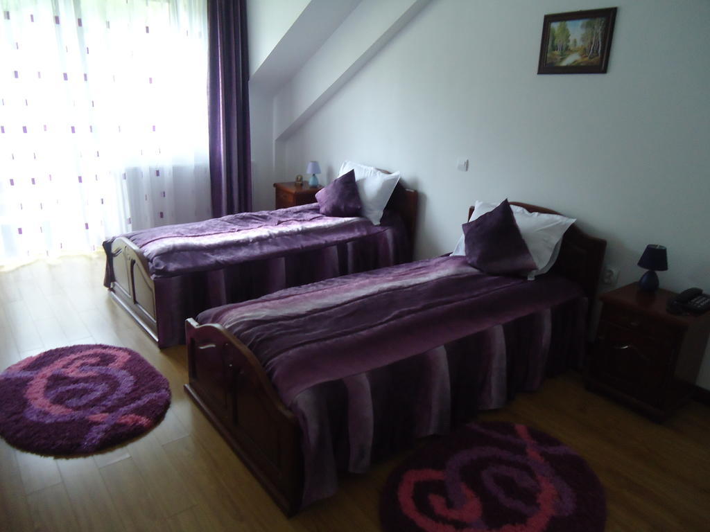 Pensiunea Geona Poiana Teiului Habitación foto