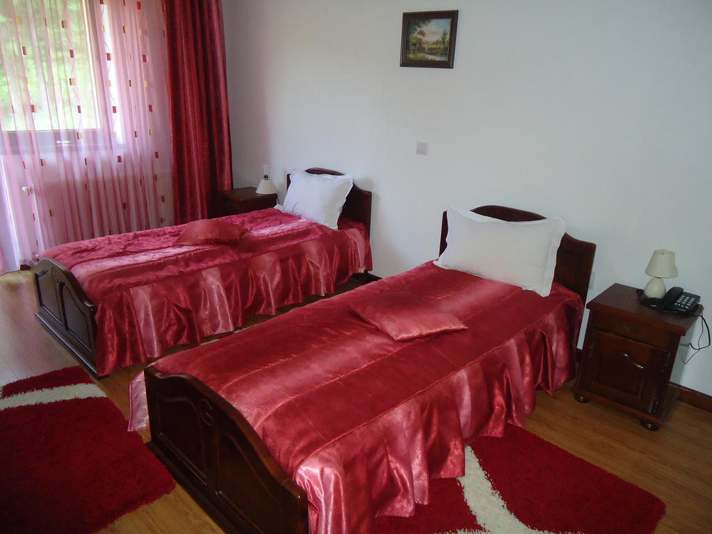 Pensiunea Geona Poiana Teiului Habitación foto