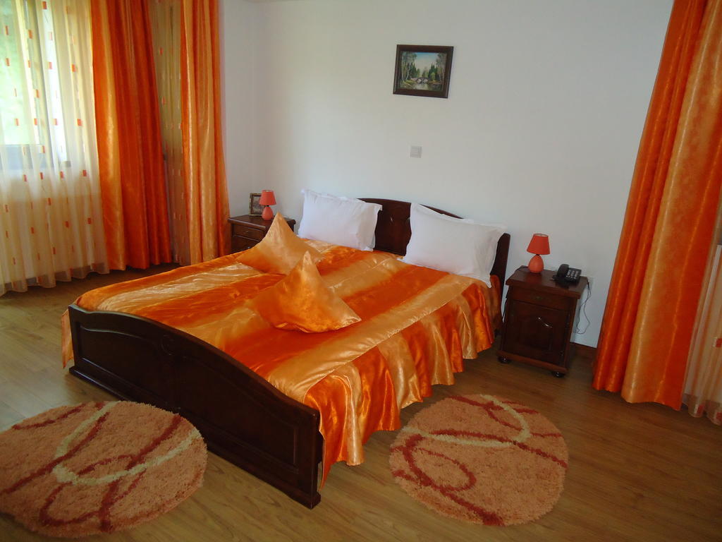 Pensiunea Geona Poiana Teiului Habitación foto
