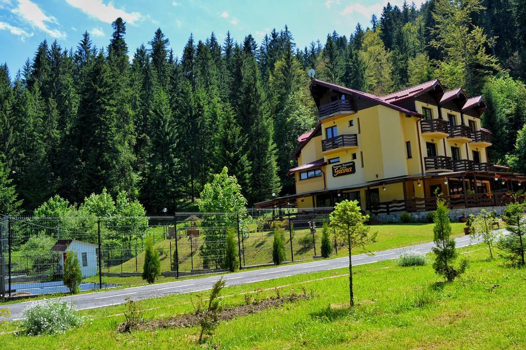 Pensiunea Geona Poiana Teiului Exterior foto