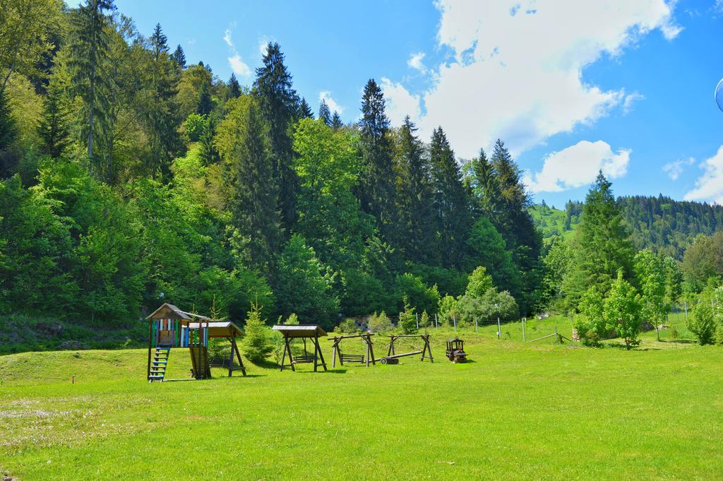 Pensiunea Geona Poiana Teiului Exterior foto